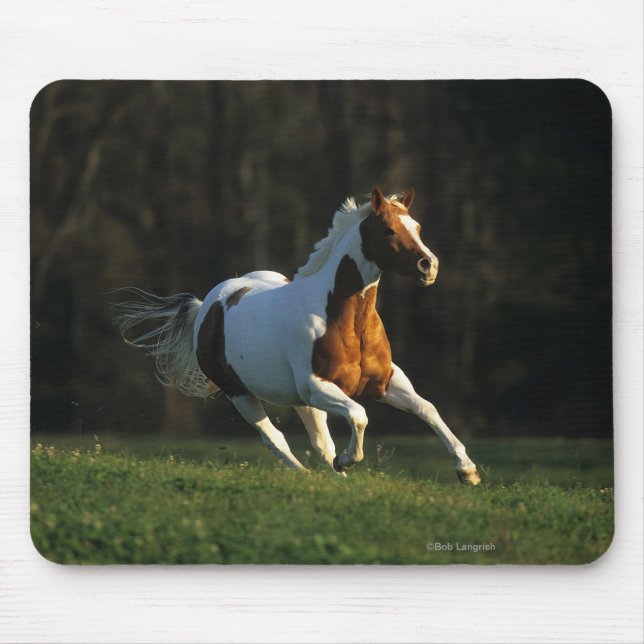 Paint Horse Running Fast Mouse Mat (Front)