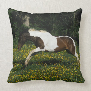 Paint Horse Running in Field of Flowers Cushion