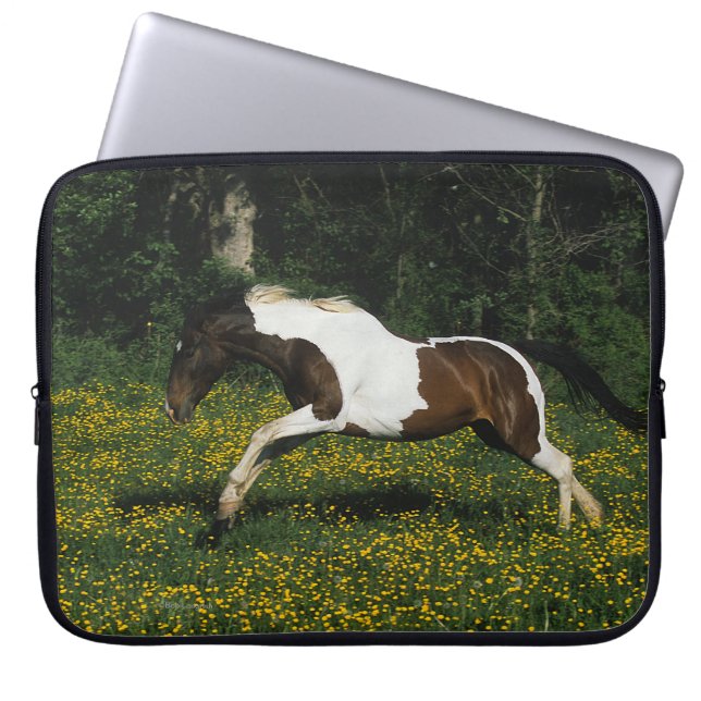 Paint Horse Running in Field of Flowers Laptop Sleeve (Front)