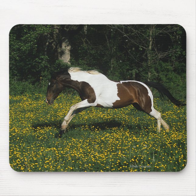 Paint Horse Running in Field of Flowers Mouse Mat (Front)