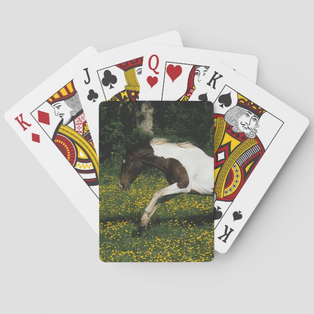 Paint Horse Running in Field of Flowers Playing Cards (Back)