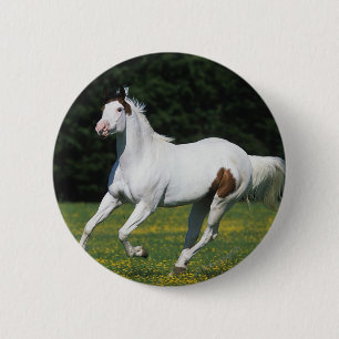 Paint Horse Running in Grassy Field 6 Cm Round Badge