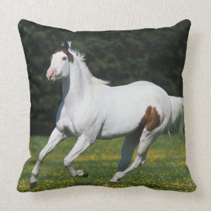 Paint Horse Running in Grassy Field Cushion