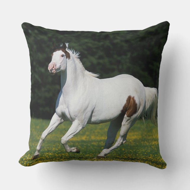 Paint Horse Running in Grassy Field Cushion (Front)