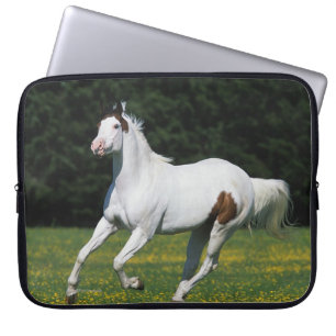 Paint Horse Running in Grassy Field Laptop Sleeve