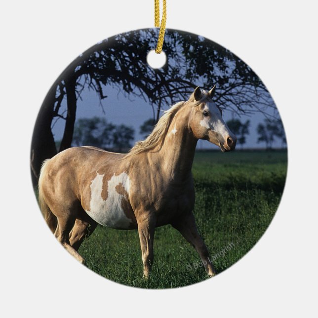 Paint Horse Standing 2 Ceramic Tree Decoration (Front)