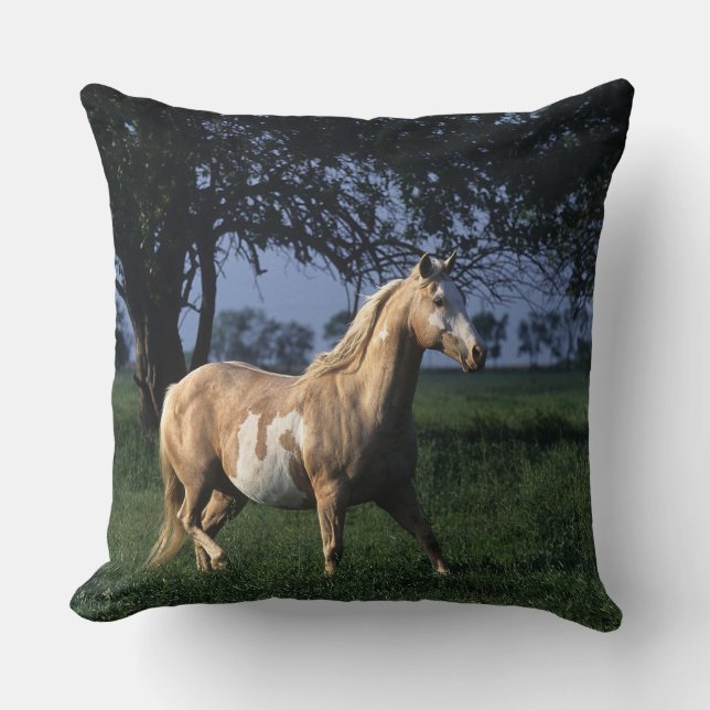 Paint Horse Standing 2 Cushion (Front)