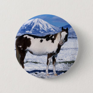 Paint Horse Standing in the Snow 6 Cm Round Badge