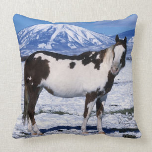 Paint Horse Standing in the Snow Cushion