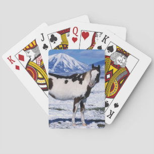 Paint Horse Standing in the Snow Playing Cards