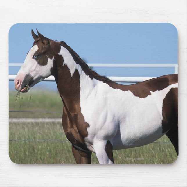 Paint Horse Standing Mouse Mat (Front)