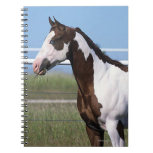 Paint Horse Standing Notebook