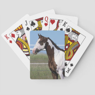 Paint Horse Standing Playing Cards