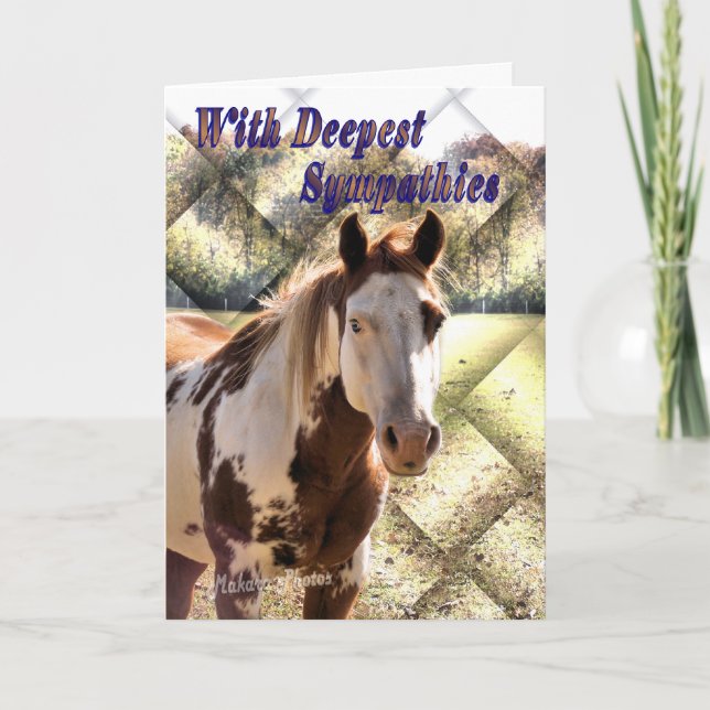 Paint Horse Sympathy card (Front)