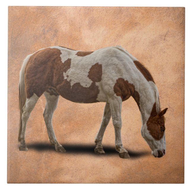 PAINT HORSE TILE (Front)