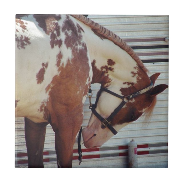 Paint horse tile (Front)