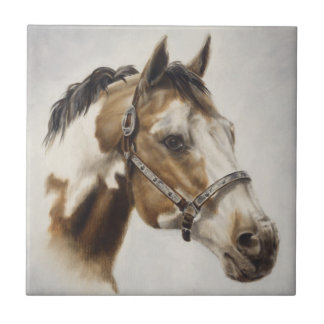 Paint Horse Tile