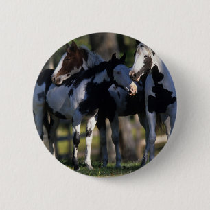 Paint Horses 6 Cm Round Badge