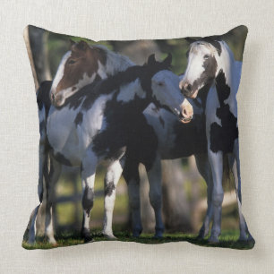 Paint Horses Cushion