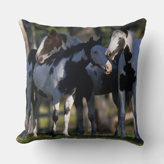 Paint Horses Cushion (Front)