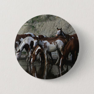 Paint Horses Drinking 6 Cm Round Badge