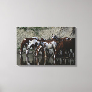 Paint Horses Drinking Canvas Print