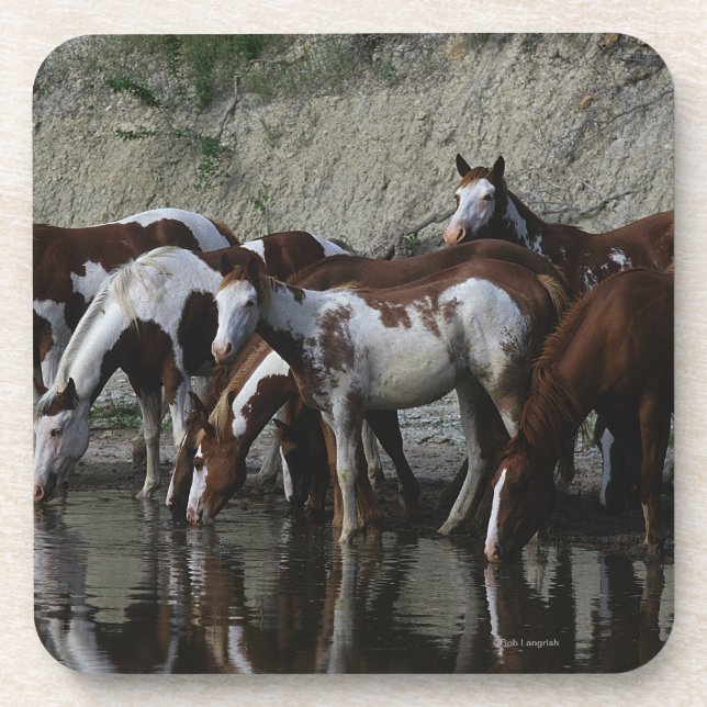 Paint Horses Drinking Coaster (Front)
