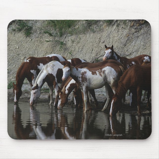 Paint Horses Drinking Mouse Mat (Front)