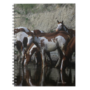 Paint Horses Drinking Notebook