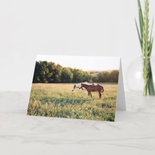 Paint Horses in Pasture Card