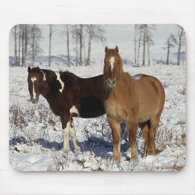 Paint Horses in the Snow Mouse Mat (Front)