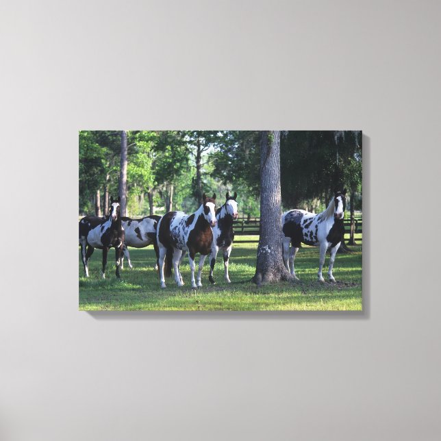 Paint Horses in the Trees Canvas Print (Front)