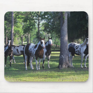 Paint Horses in the Trees Mouse Mat
