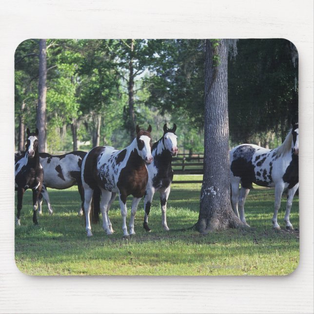 Paint Horses in the Trees Mouse Mat (Front)