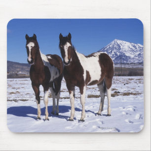 Paint Horses Standing in the Snow Mouse Mat