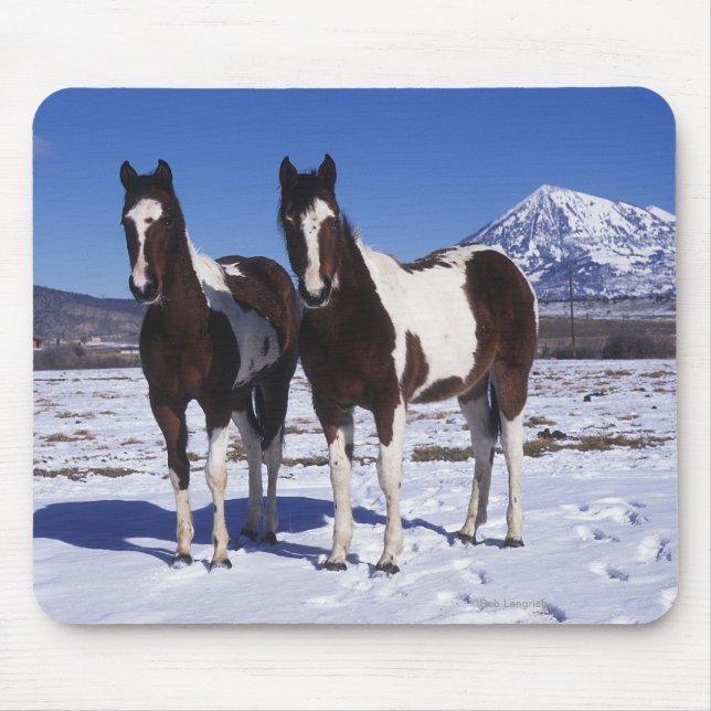 Paint Horses Standing in the Snow Mouse Mat (Front)