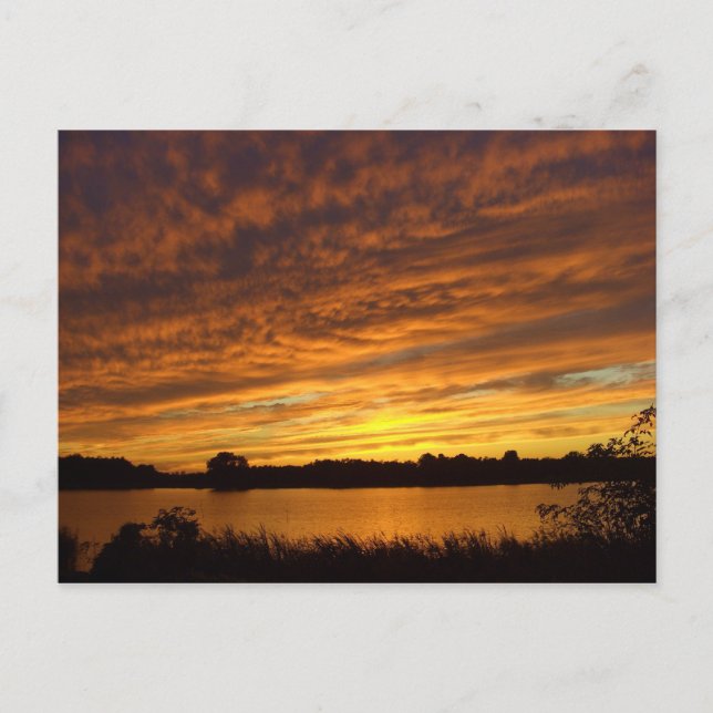 Paint it orange -cloudy lake sunset postcard (Front)