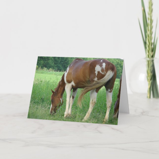 Paint Mare Card (Front)