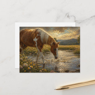 Paint Mare Crossing the Creek Postcard