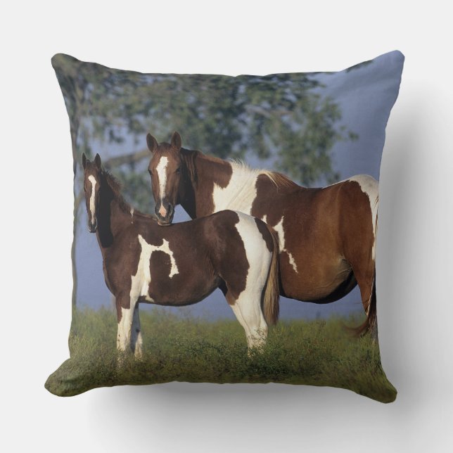 Paint Mare & Foal Cushion (Front)