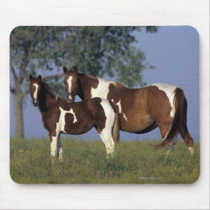 Paint Mare & Foal Mouse Mat
