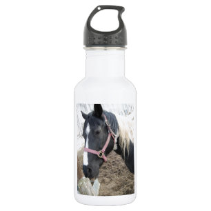 Paint Pinto Horse 532 Ml Water Bottle