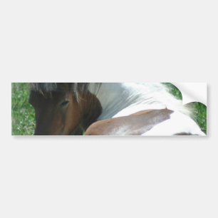 Paint Pony Resting Bumper Sticker. Sticker