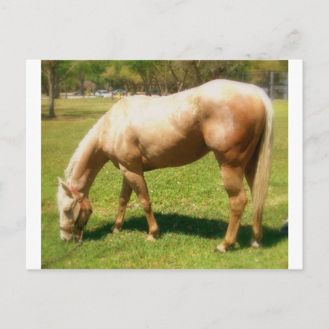 Paint Postcard (Front)