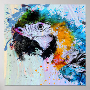 Paint Splash Parrot Poster Print