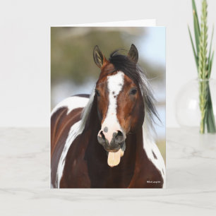 Paint Stallion with Tongue Out Headshot Card
