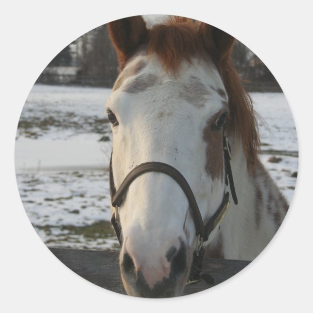 Paint Sticker (Front)