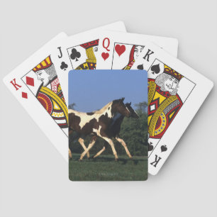 Paint Yearlings Running Playing Cards