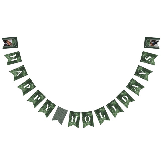 Painted Arch Holiday Party Bunting Banner - Green (All)