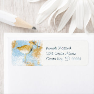 Painted Beach Coastal Willet Bird